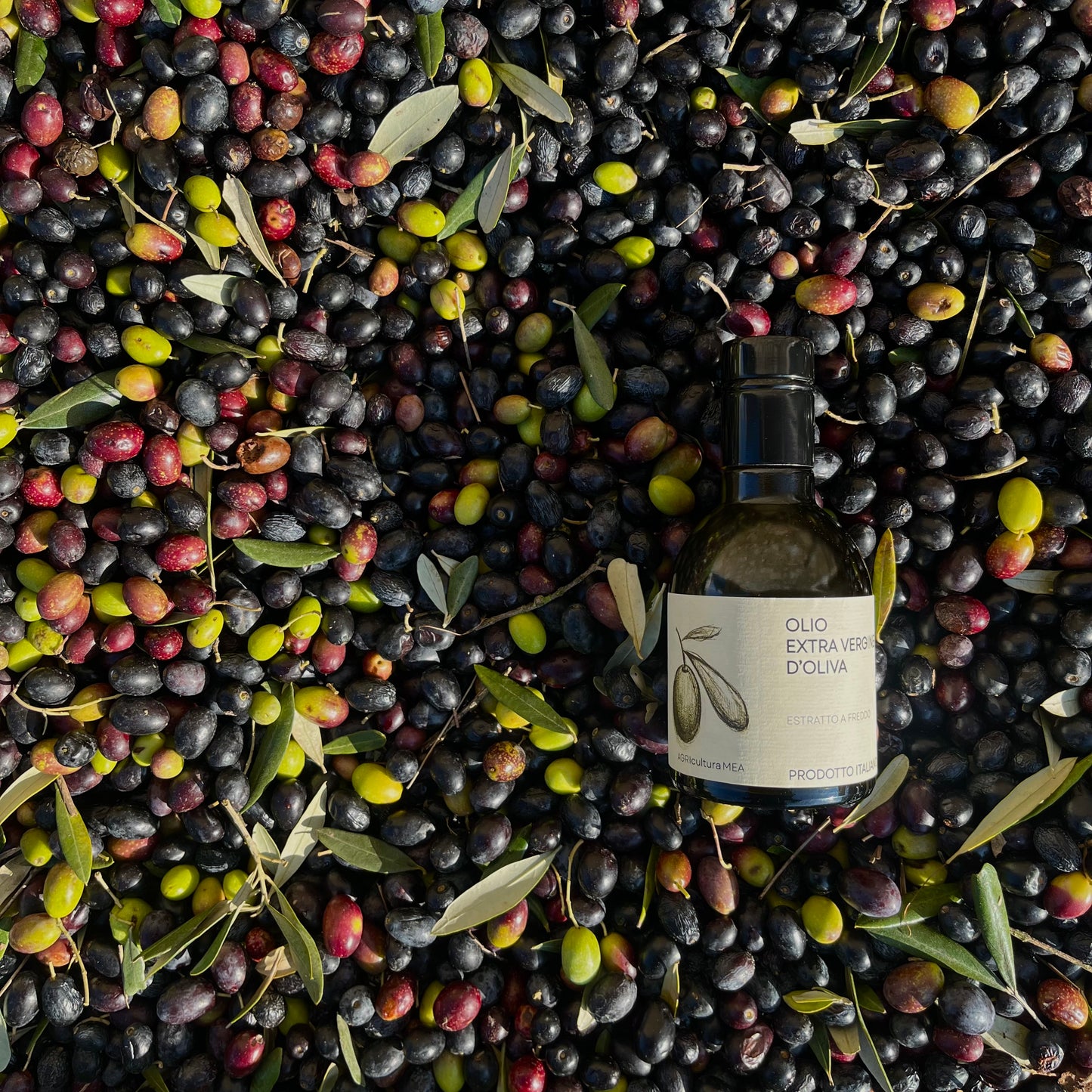 Olio Extravergine di Oliva AGRIculturaMEA - 250 ml